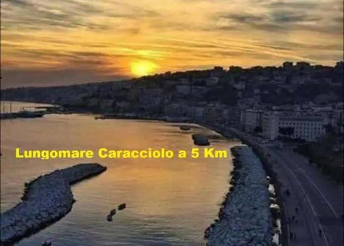 Apartment Home Green